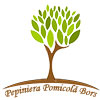 www.pepinierapomicolabors.ro